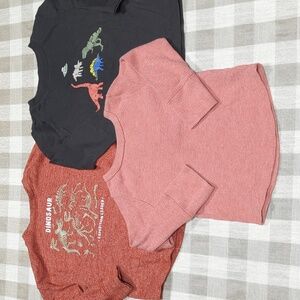 2T Garanimals Dinosaur & Red Bundle Long sleeve T-shirts set